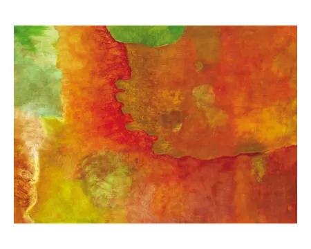 Barevná mapa Daisy Mrázkové