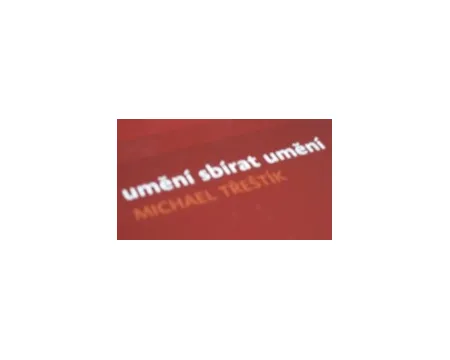 Definice vášně