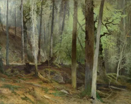 Spořitelna a její fondy: ohlédnutí přes dvě staletí