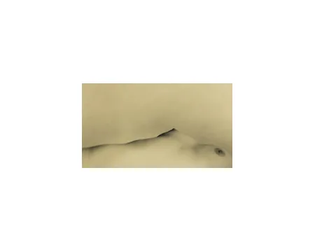O fotografii