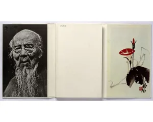 Současné umění - střední generace