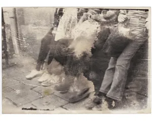 Fotografie