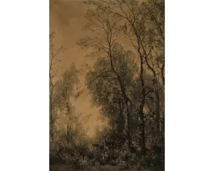 Generace Národního divadla