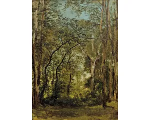 Generace Národního divadla