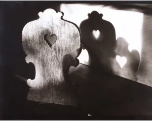 Fotografie
