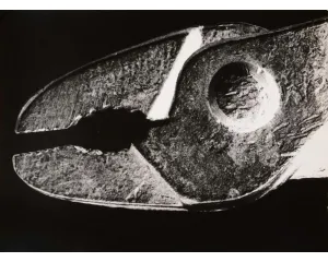 Fotografie