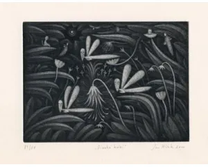 Současné umění - střední generace