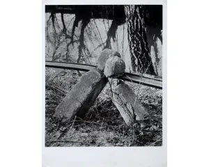 Fotografie