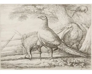 Grafika před r. 1800