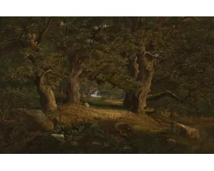 Generace Národního divadla