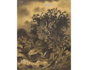 Generace Národního divadla