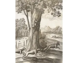 Grafika před r. 1800