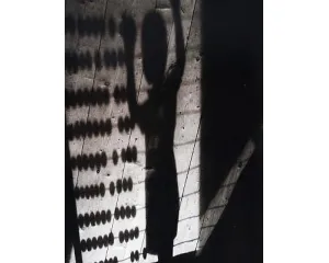 Fotografie