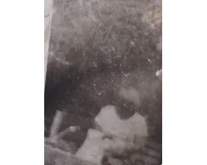 Fotografie