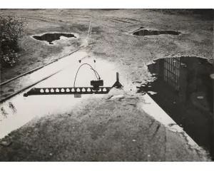 Fotografie