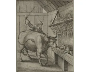 Grafika před r. 1800