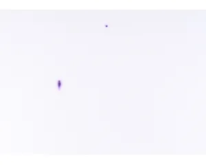 Současné umění - střední generace