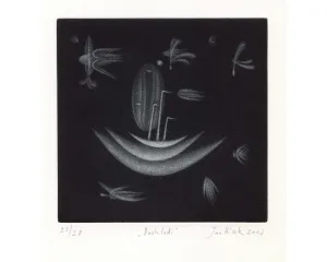 Současné umění - střední generace