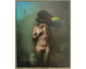 Fotografie
