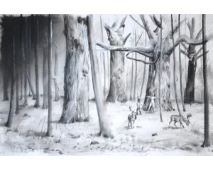 Současné umění - střední generace