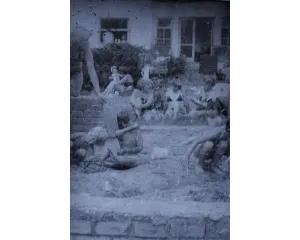 Fotografie