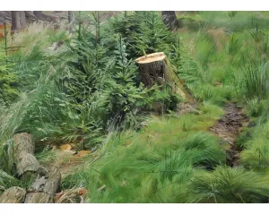 Současné umění - střední generace