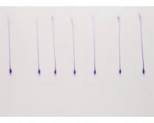 Současné umění - střední generace