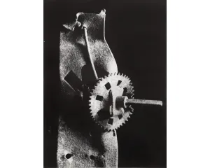 Fotografie