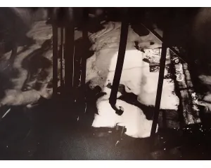 Fotografie