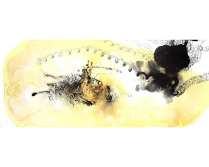 Současné umění - střední generace
