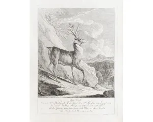 Grafika před r. 1800