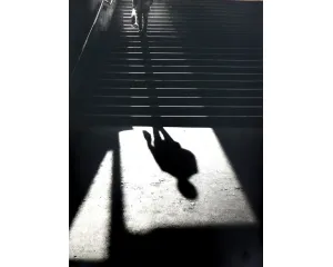 Fotografie