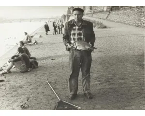 Fotografie