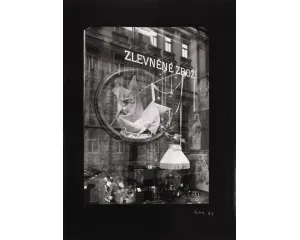 Fotografie