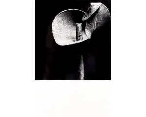 Fotografie