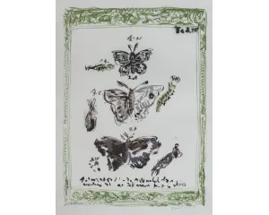 Současné umění - střední generace