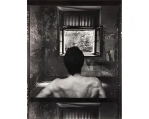 Fotografie