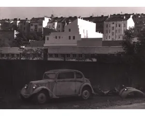 Fotografie