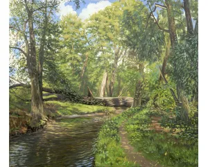 Současné umění - střední generace