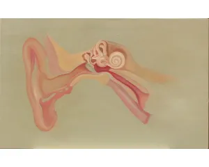 Současné umění - střední generace