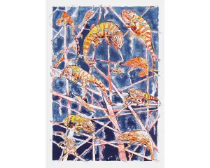 Současné umění - nejmladší generace