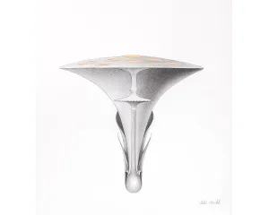 Současné umění - střední generace