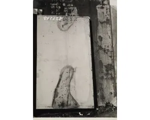 Fotografie