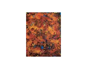 Současné umění - střední generace