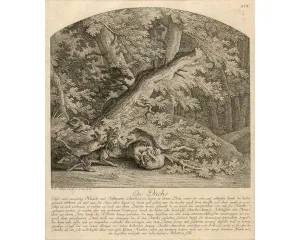 Grafika před r. 1800