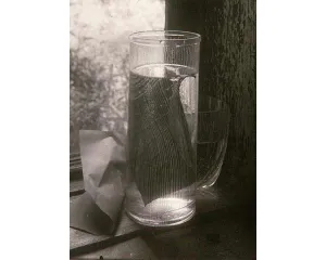 Fotografie