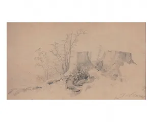 Generace Národního divadla