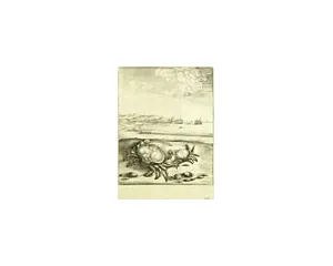 Grafika před r. 1800
