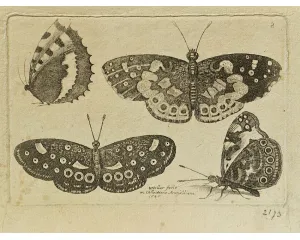 Grafika před r. 1800