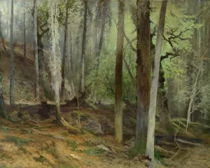 Spořitelna a její fondy: ohlédnutí přes dvě staletí